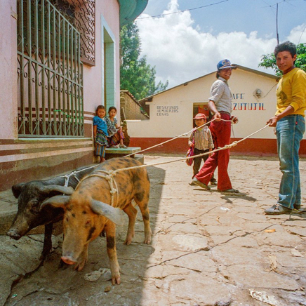 &copy; DanLavoiePhoto.com 4.jpg