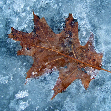 &copy; DanLavoiePhoto.com 52.jpg