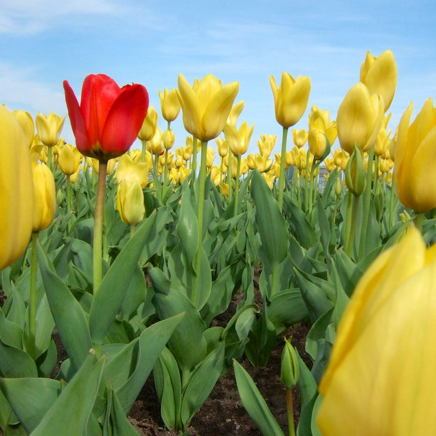 &copy; DanLavoiePhoto.com 57.jpg