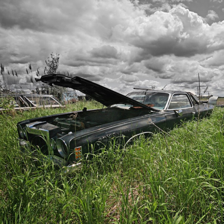 &copy; DanLavoiePhoto.com 60.jpg