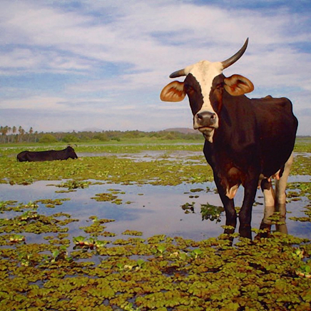 &copy; DanLavoiePhoto.com 7.jpg